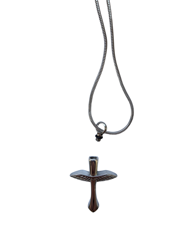 20250329_125647 Ascent Pendant